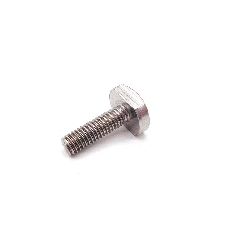 M5-M48 GB 37 Rustfritt stål A2-70 T Bolt For T-spor