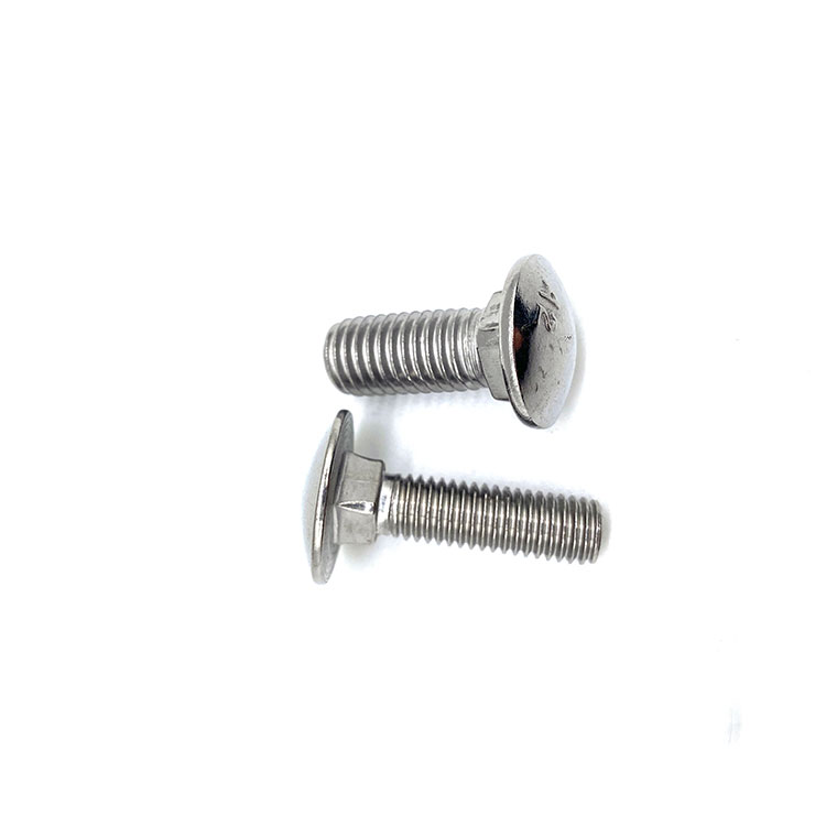 M6 M10 DIN603 INOX A4 rustfritt stål 314 316 INOX A2 vognbolt